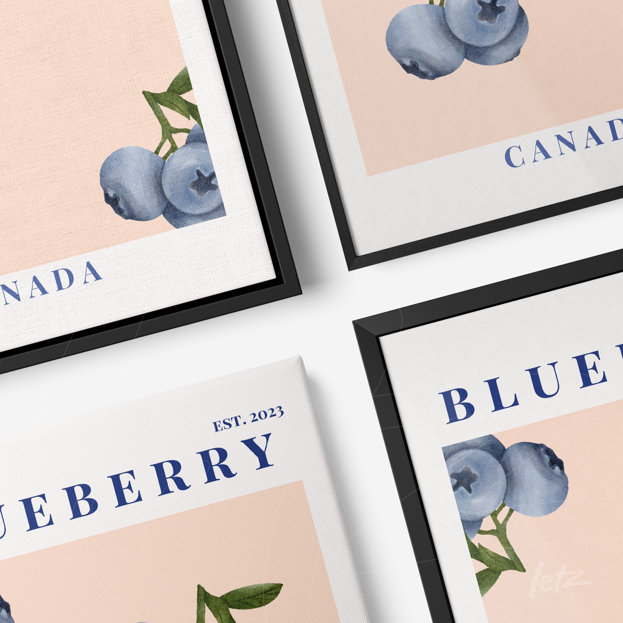 coleção de quadros com ilustrações de mirtilos sobre fundo em tons de rosa e molduras preta e branca