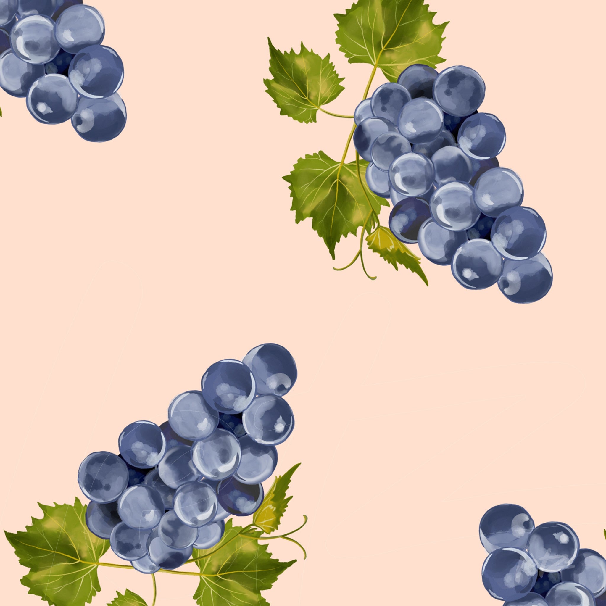 arte digital com ilustração de cachos de uvas roxas sobre fundo rosa claro