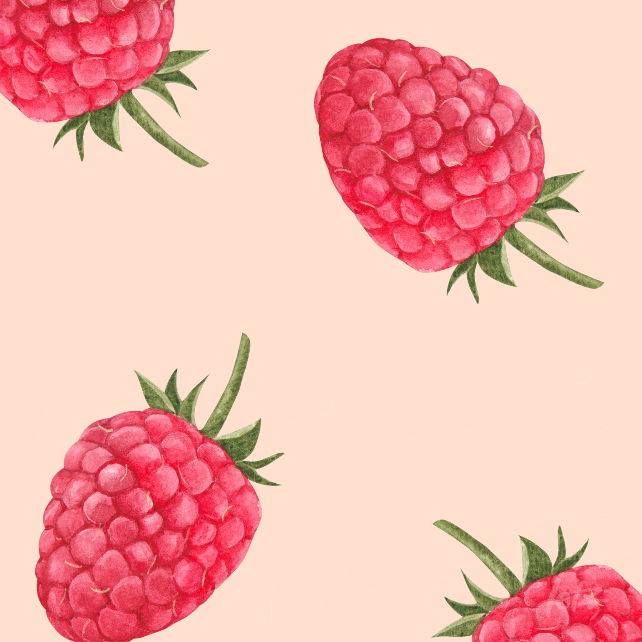 quadro com ilustrações de framboesas em fundo rosa suave