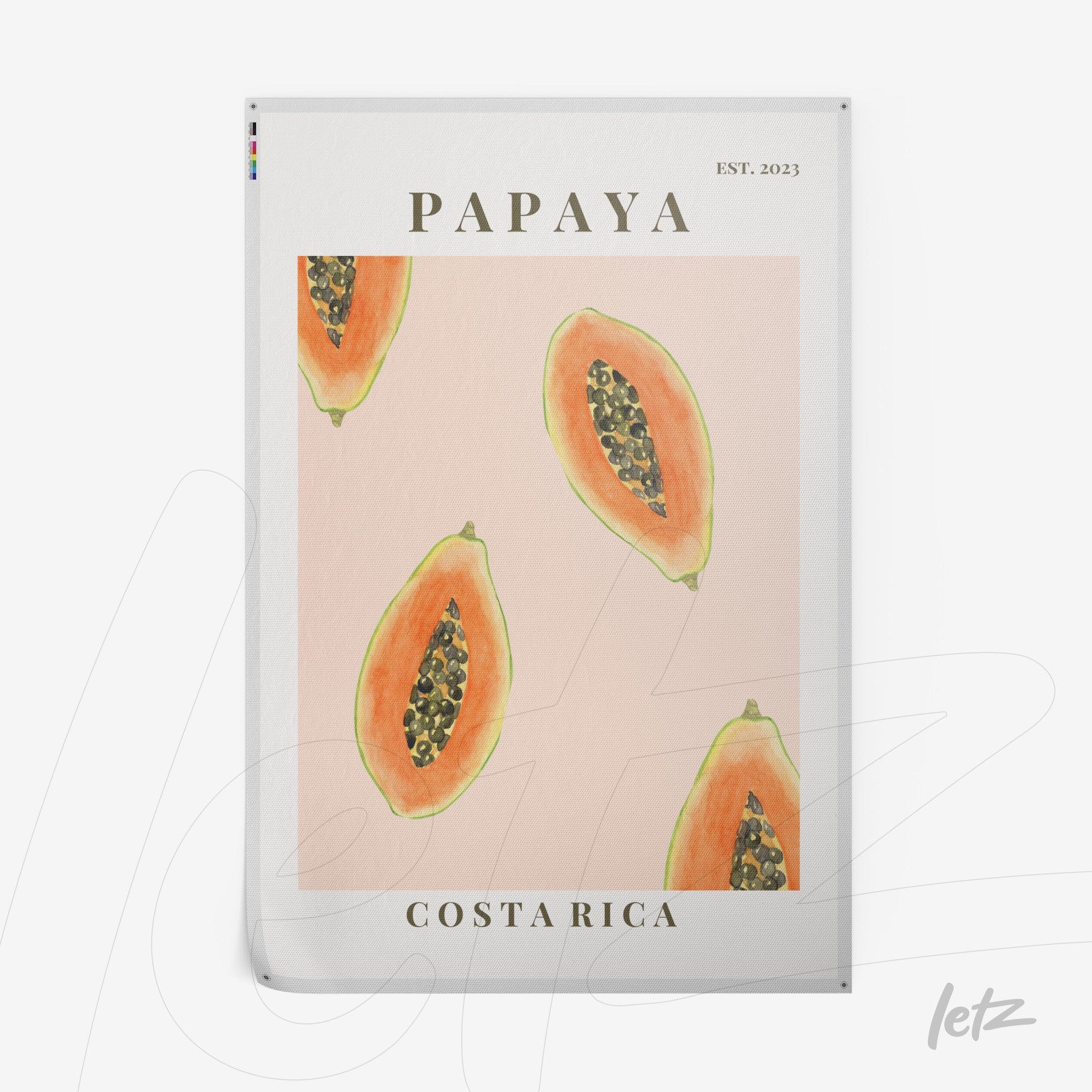quadro com ilustrações de papaias em fundo rosa com detalhes em preto e texto Costa Rica