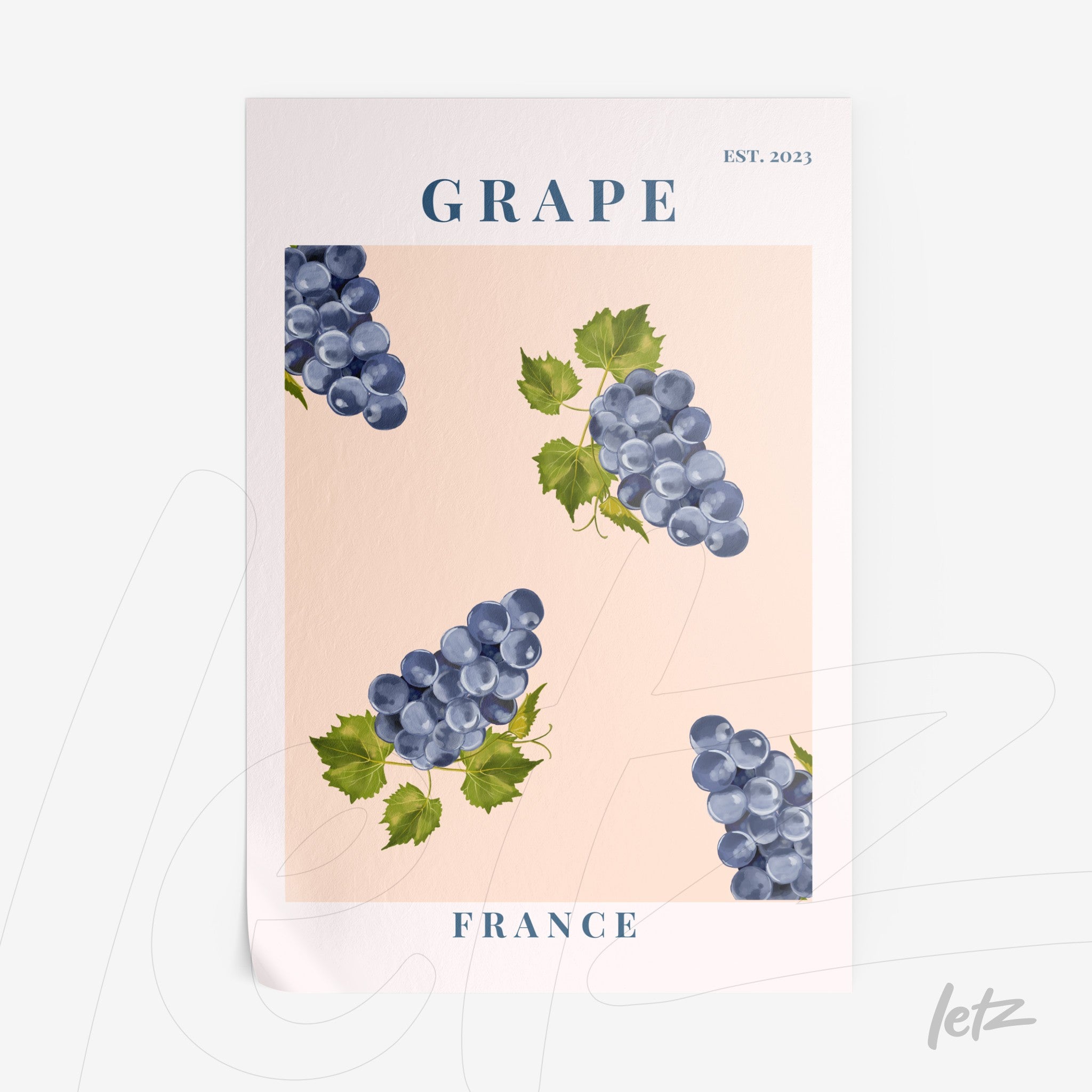 pôster com ilustrações de uvas azuis em fundo rosa suave com texto 'GRAPE' e 'FRANCE'