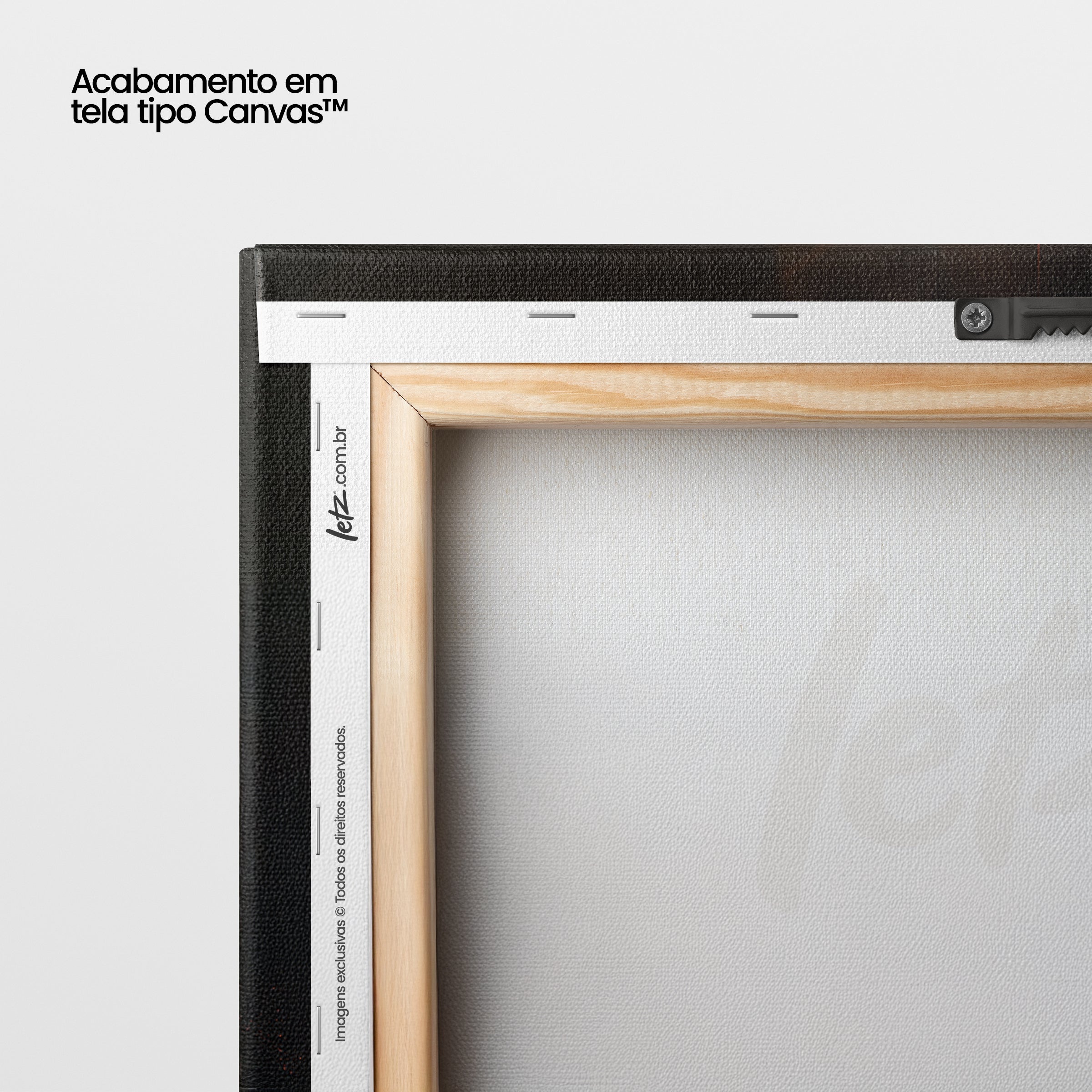 Leão Crucifixo de Luz